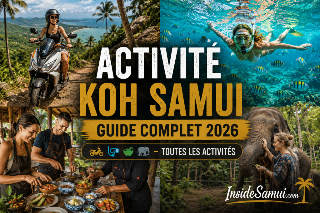 activite koh samui guide complet 2026