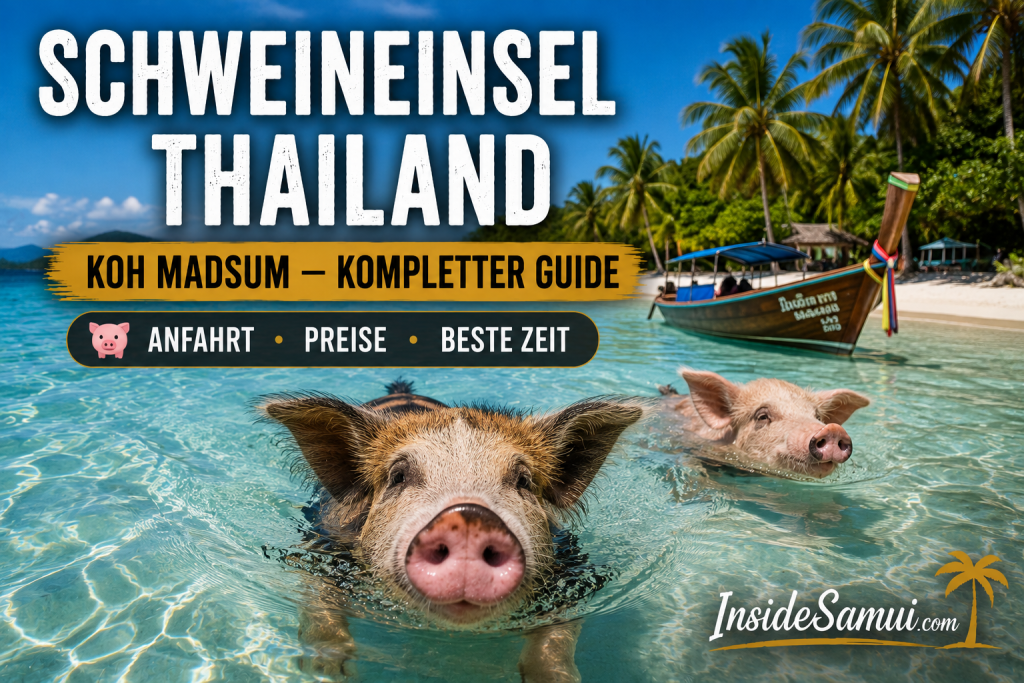 schweineinsel thailand koh madsum pig island guide
